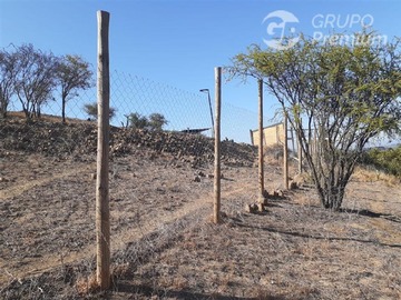 Imagen 6