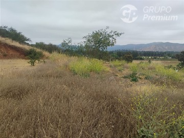 Venta / Parcela / María Pinto