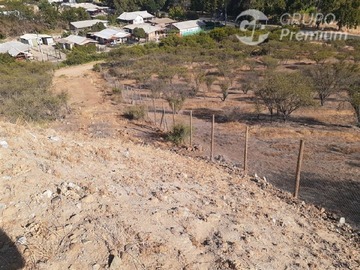 Imagen 9