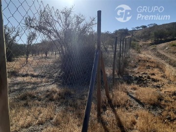 Imagen 7
