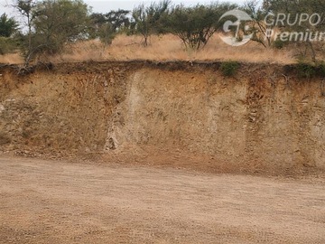 Imagen 6