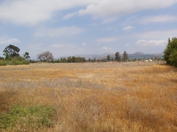 Venta / Parcela / María Pinto