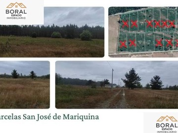 Imagen 9