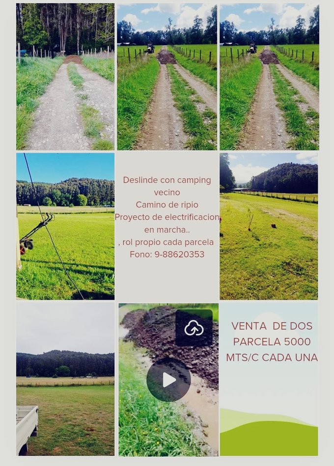 Varias tomas parcela.