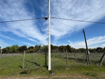 Imagen 11