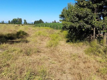 Venta / Parcela / Maule