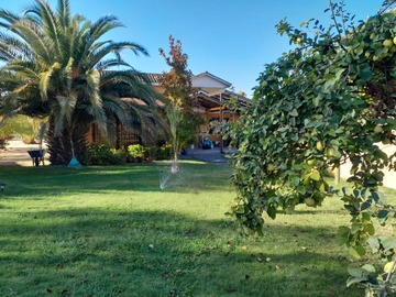 Imagen 9