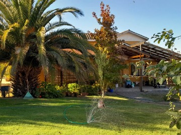 Imagen 12