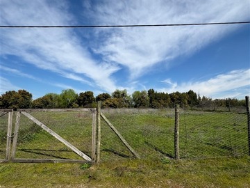 Imagen 19