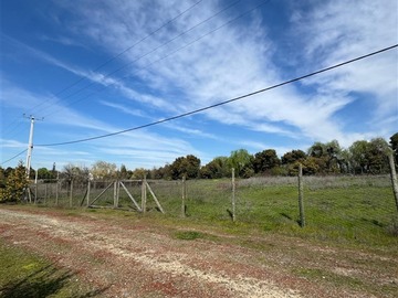 Imagen 14