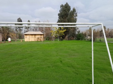 Imagen 7