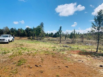 Venta / Parcela / Maullín