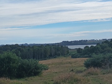 Venta / Parcela / Maullín