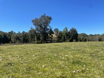 Venta / Parcela / Maullín