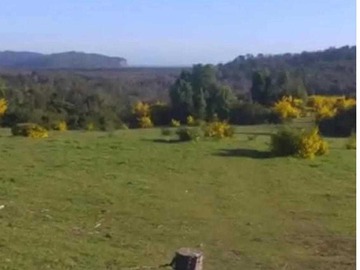 Venta / Parcela / Maullín