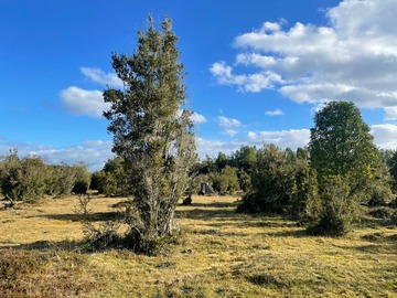 Venta / Parcela / Maullín