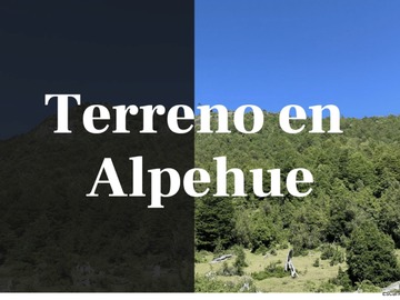 Imagen 14