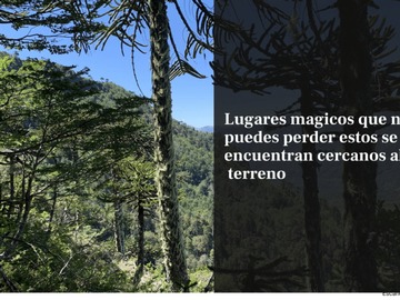 Imagen 22