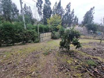 Imagen 5