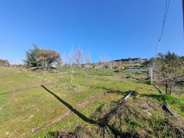 Imagen 6
