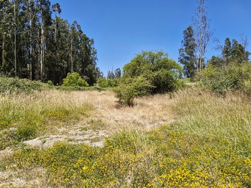 Venta / Parcela / Melipilla