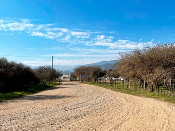 Imagen 15
