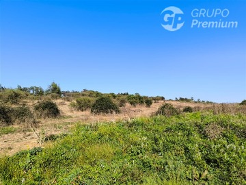 Imagen 8