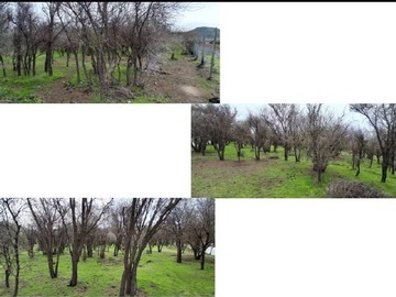 Imagen 23