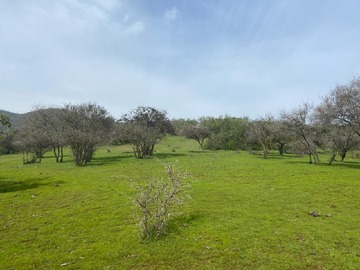 Venta / Parcela / Melipilla