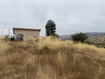 Imagen 5