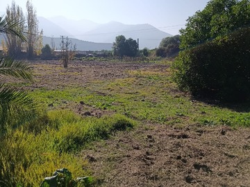 TERRENO