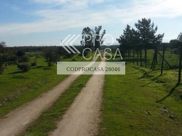 Venta / Parcela / Melipilla