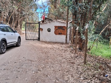 Imagen 11