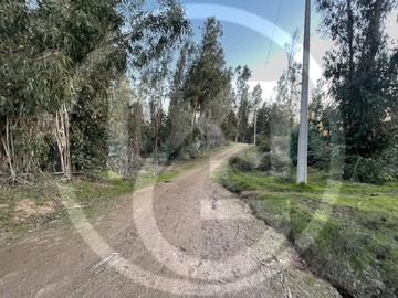 Imagen 7