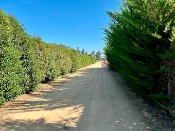 Venta / Parcela / Melipilla