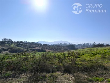 Imagen 21