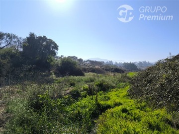 Imagen 20