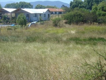Imagen 6
