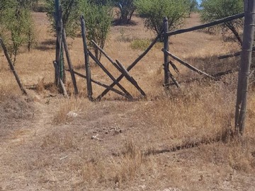 Imagen 5