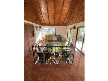 Imagen 22