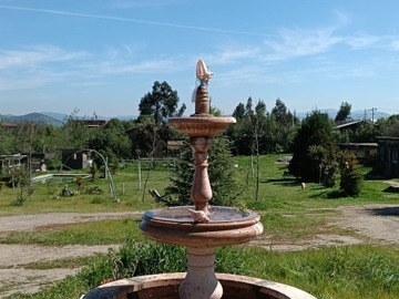 Imagen 15