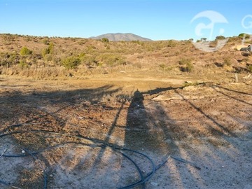 Imagen 14