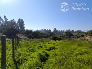 Imagen 16