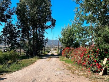 Imagen 24