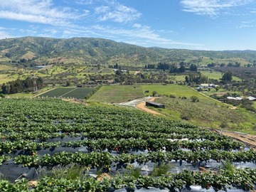 Venta / Parcela / Melipilla