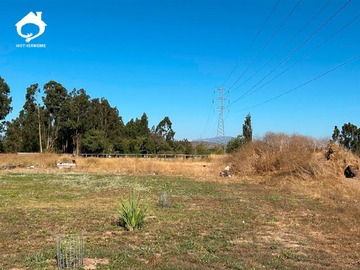 Imagen 26