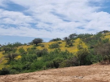Imagen 5