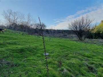 Venta / Parcela / Melipilla