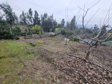 Imagen 10