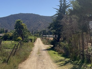 Imagen 8